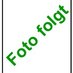 J. Sass Lehramtsanwärterin sass@jgs-bonn.de